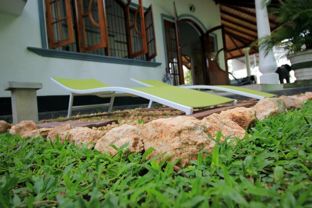 Flipflop Hostel Negombo Eksteriør billede